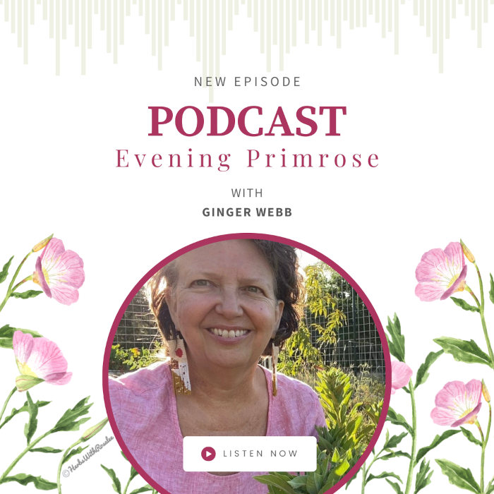 Evening Primrose with Ginger Webb