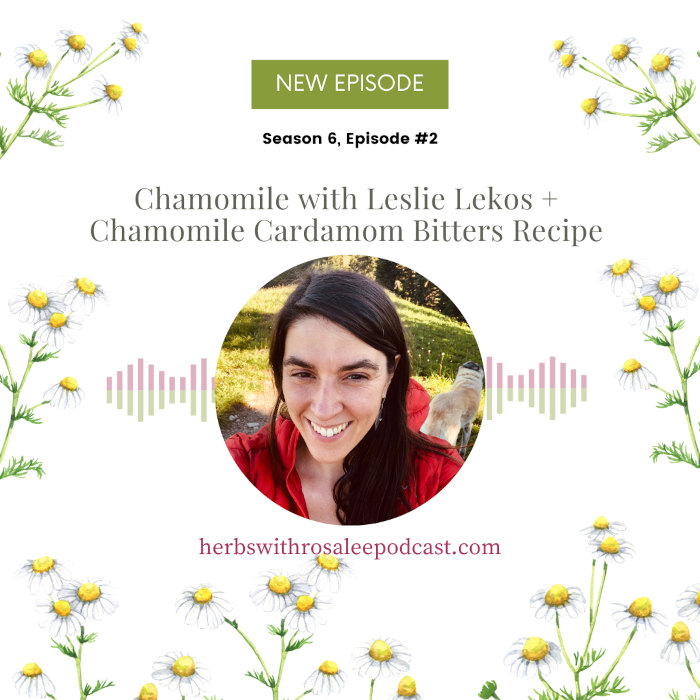 Chamomile with Leslie Lekos