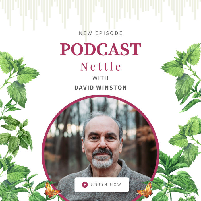 Stinging Nettle Benefits with David Winston