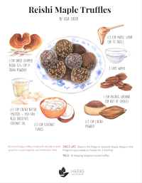 Reishi Truffle Recipe