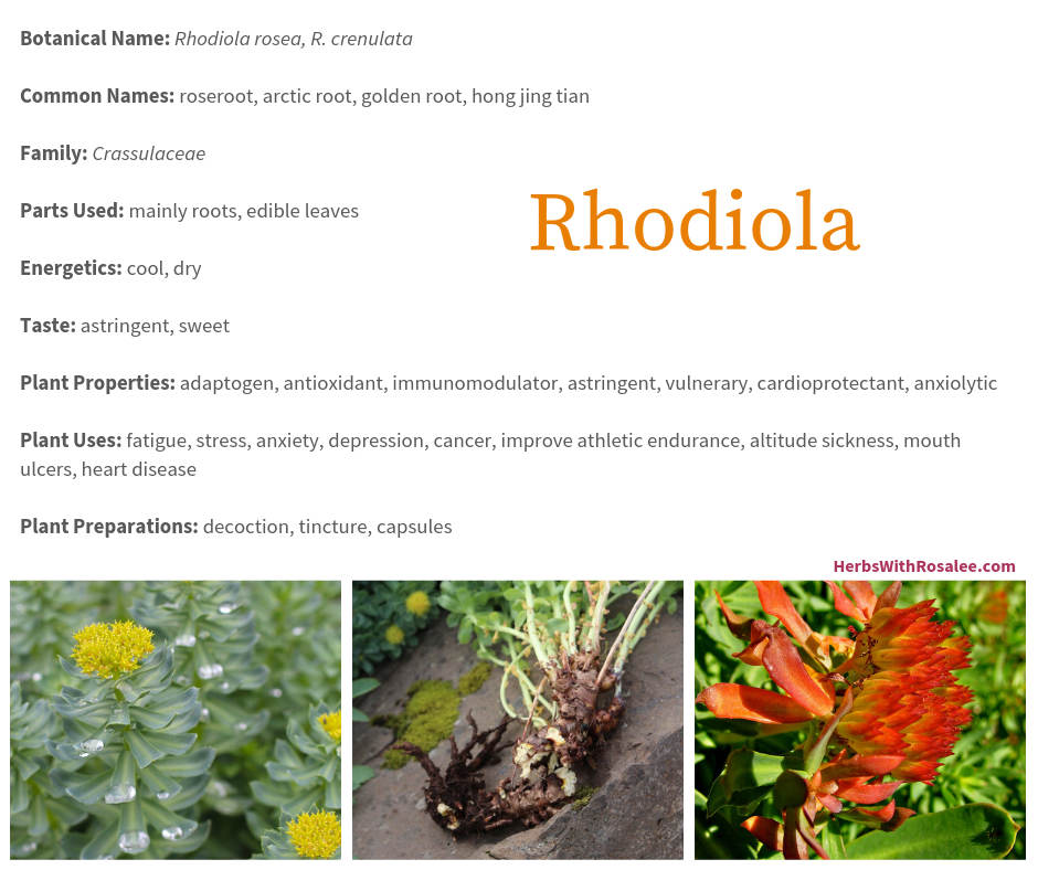 rhodiola benefits