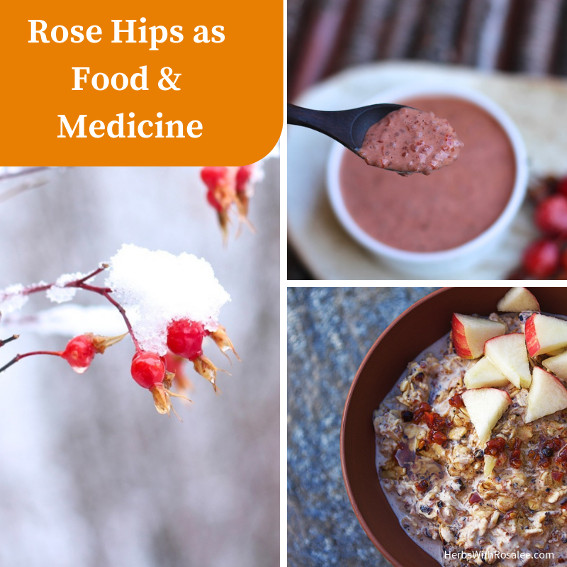 benefits of rosehips