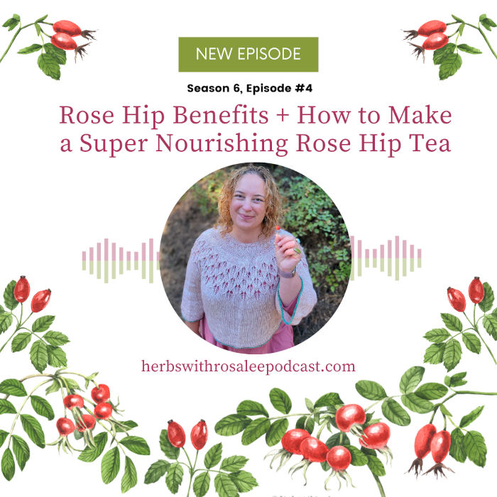 Rose Hips Benefits