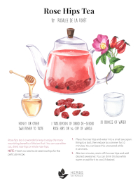 Rosehips Tea Recipe