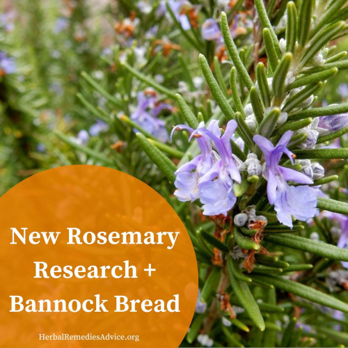 Rosemary Bannock Recipe