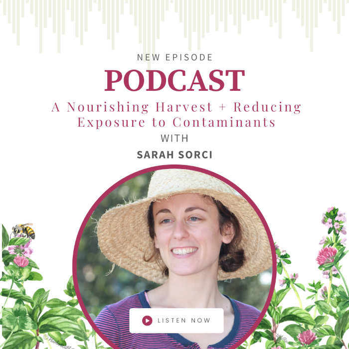 Sarah Sorci Podcast Episode