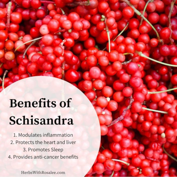 schisandra benefits