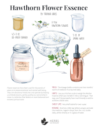 Tatiana Eaves Hawthorn flower essence recipe