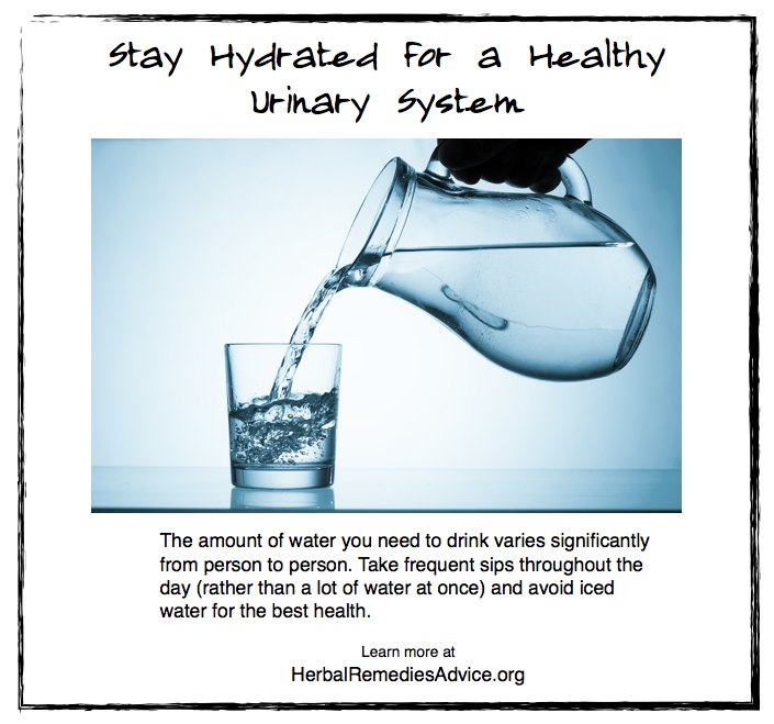 Stay Hydrated for a Healthy Urinary System