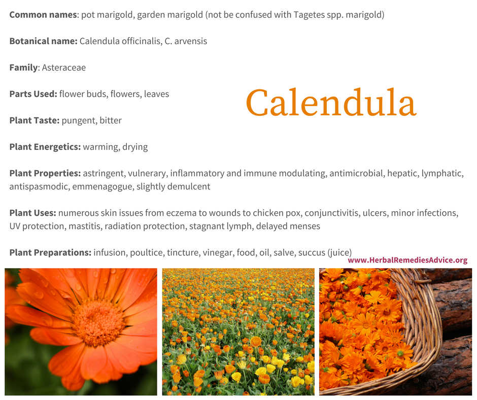 Common Uses of Calendula (Pot Marigold) Flowers