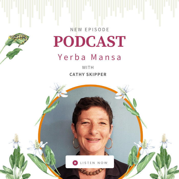 Yerba Mansa with Cathy Skipper