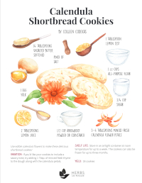 Calendula Shortbread Cookies Recipe