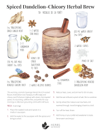 dandelion chicory brew recipe