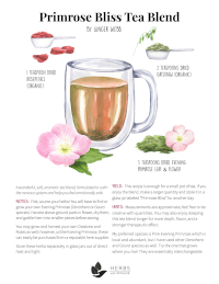 Evening Primrose Tea Recipe