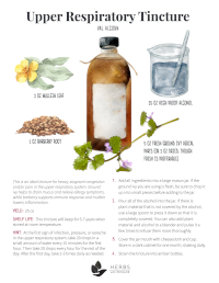 Upper Respiratory Tincture recipe with ground ivy