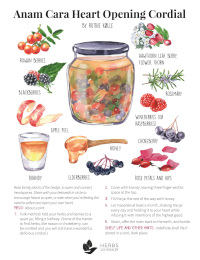 Hawthorn cordial recipe