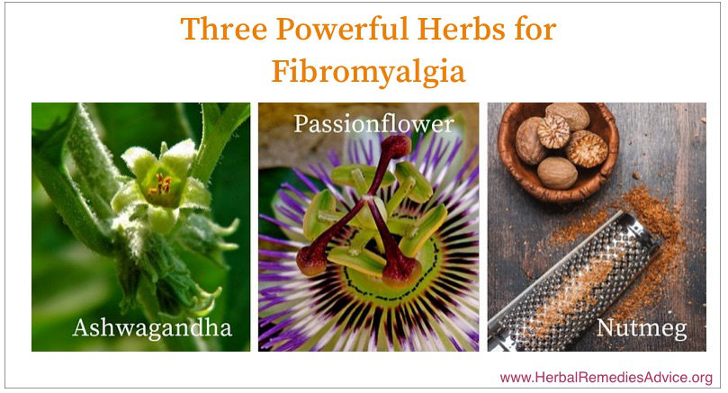 herbs for fibromyalgia