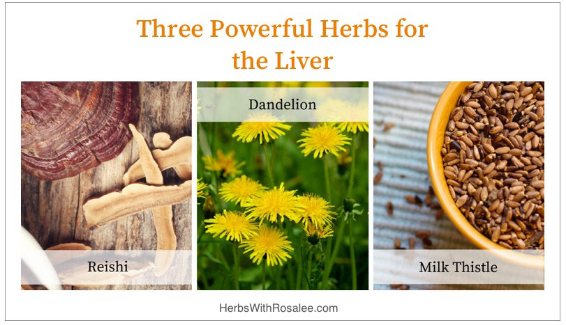 Liver cleansing herbs