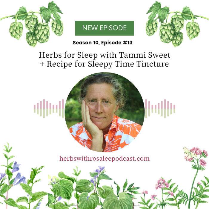 Herbs for Sleep with Tammi Sweet