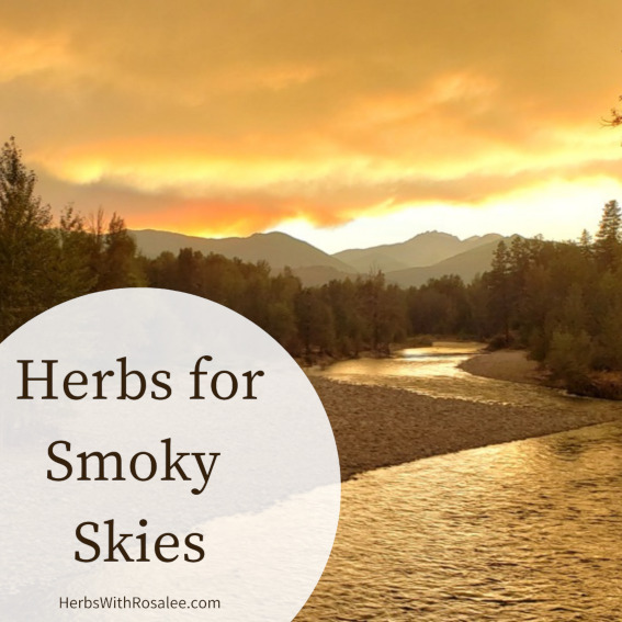 herbs for wildfire smoke