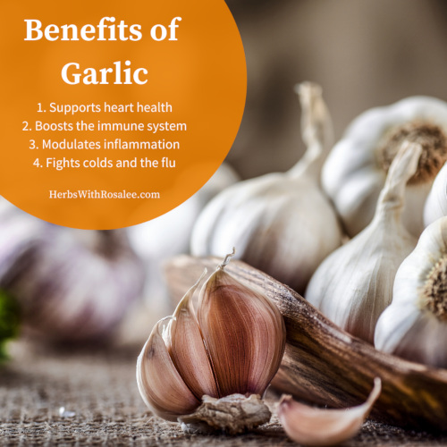garlic as medicine