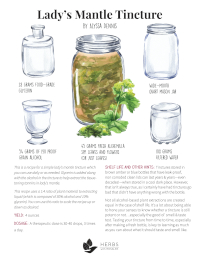 Lady's mantle tincture recipe Lady's mantle tincture recipe