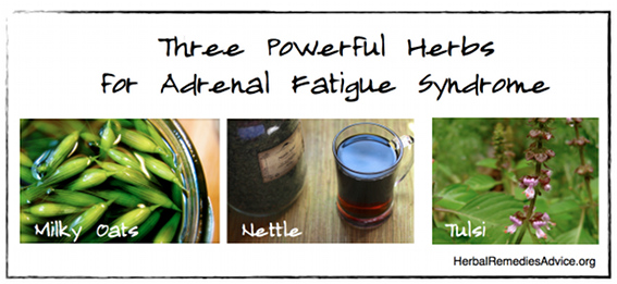 natural remedies for adrenal fatigue