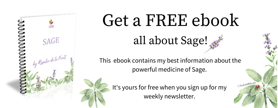 Sage Benefits - Natural Health Guide