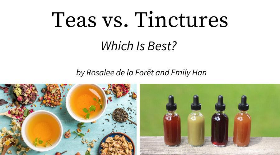 tincture vs tea