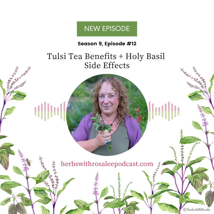 Tulsi Tea Benefits