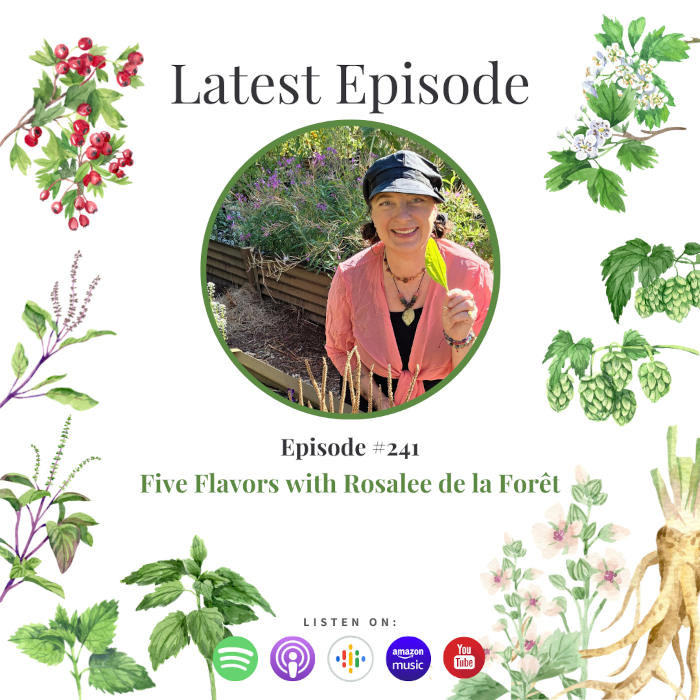 5 flavors podcast 5 flavors podcast