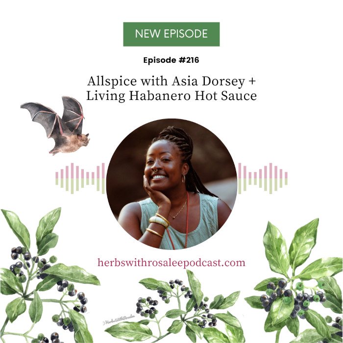 The Hidden Medicine of Allspice with Asia Dorsey
