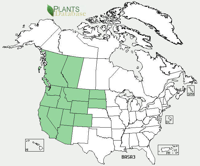 Arrowleaf Balsamroot Range map