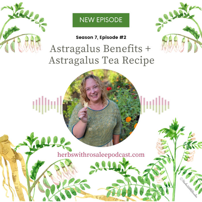 Astragalus Benefits