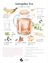 Astragalus Tea Recipe
