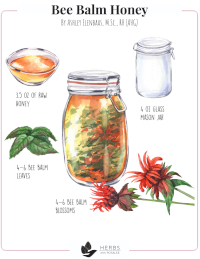 Beebalm Honey recipe