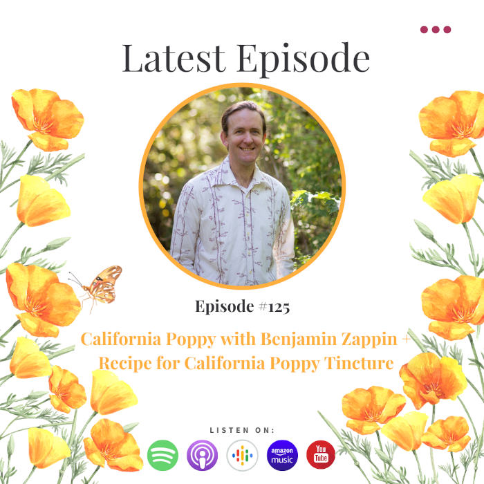 Benefits of California Poppy with Benjamin Zappin