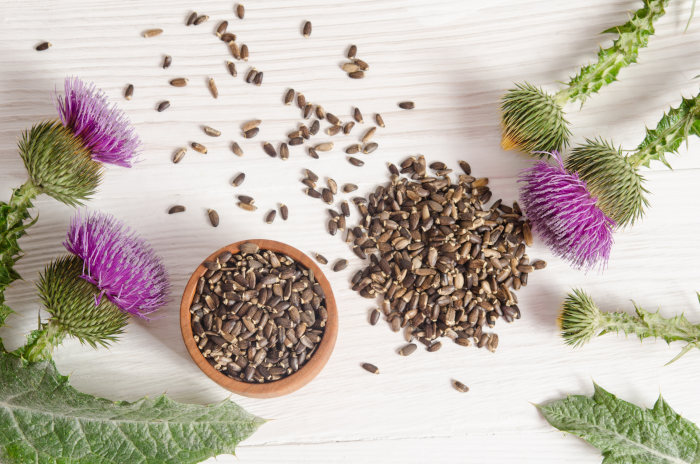 milk thistle benefits