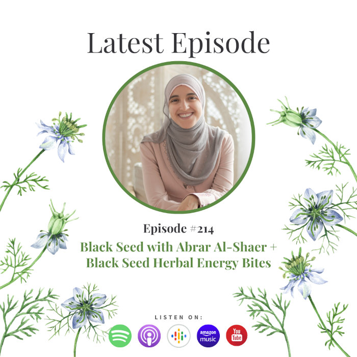 Black Seed with Abrar Al-Shaer