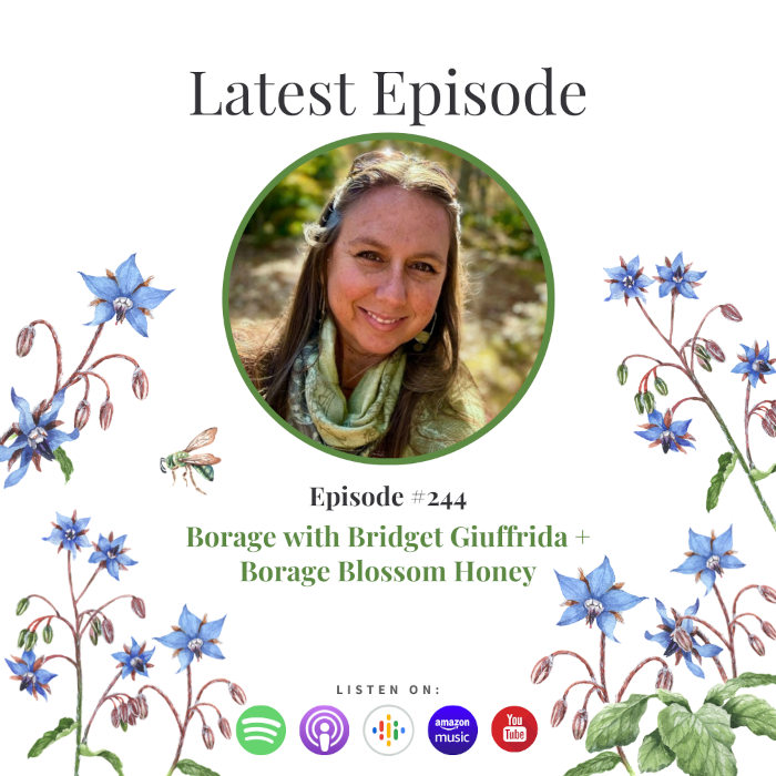 Borage with Bridget Giuffrida