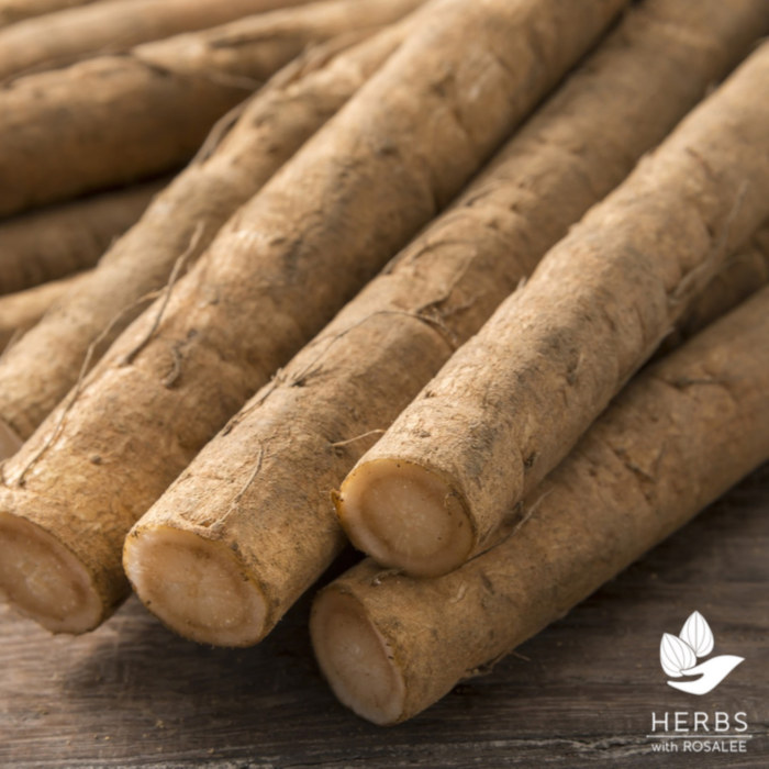 burdock root uses