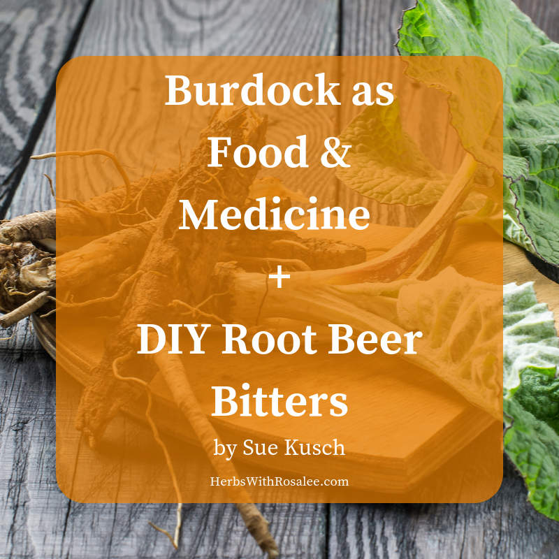 burdock benefits