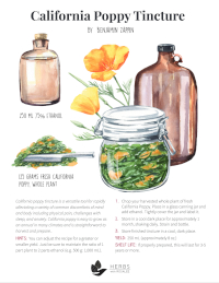 California Poppy Extract Recipe