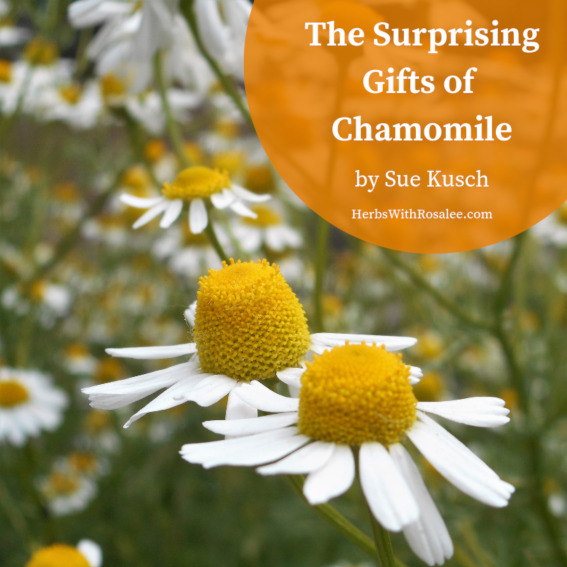 health benefits of chamomile tea