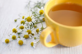 Chamomile Benefits