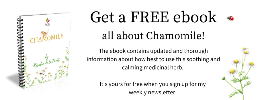 Chamomile Ebook Banner