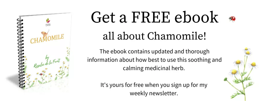 Chamomile Ebook Banner