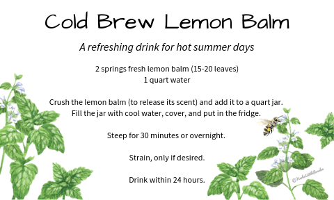 lemon balm recipes