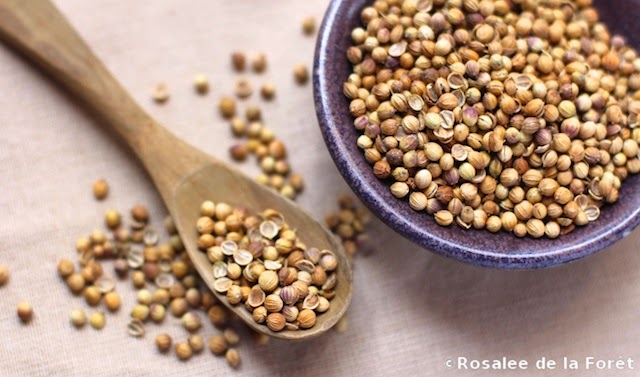 Coriander seeds