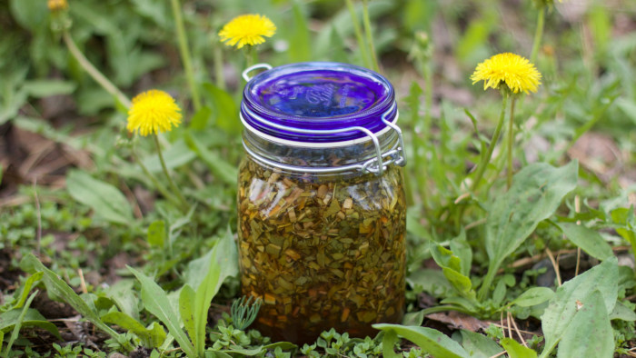 dandelion vinegar